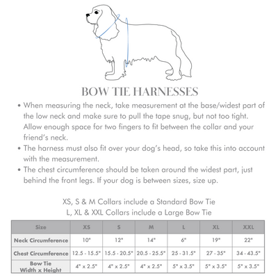 Mountain Stone Reversible Dog Harness + Mountain Stone Bow Tie