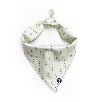 Dog bandana in light green with dark green arrows