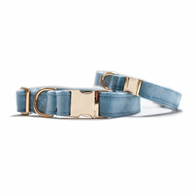 Two stacked dog collars with gold hardware in dusty blue velvet