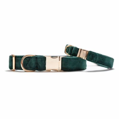 Two stacked dog collars with gold hardware in dark green velvet