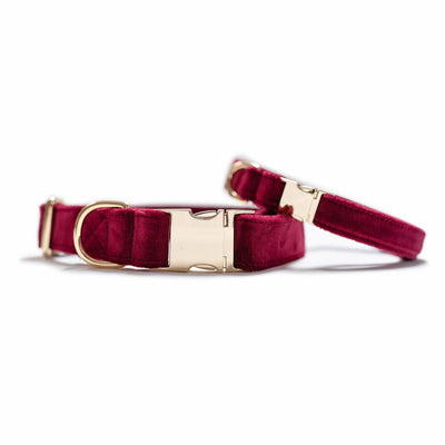 Two stacked dog collars with gold hardware in wine velvet