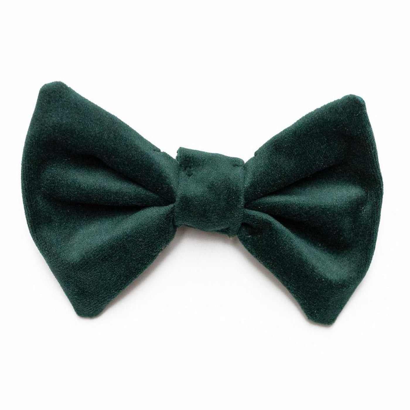 Classic dog bow tie in dark green velvet