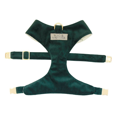 Front view of reversible dog harness with gold hardware in dark green velvet