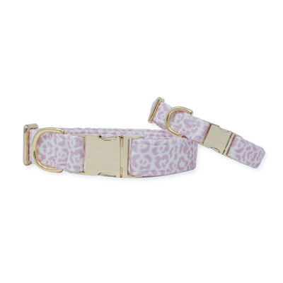 French Lavender Rosette Classic Dog Collar