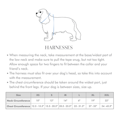 Mountain Stone Reversible Dog Harness