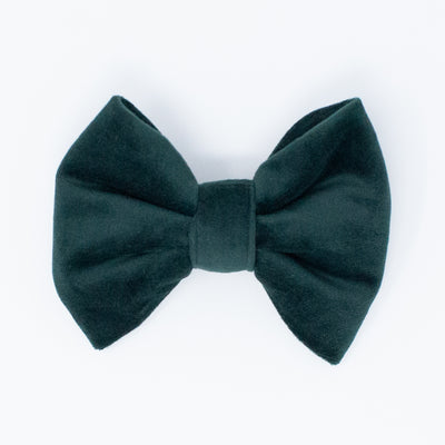 Limited Edition Velvet Evergreen Classic Dog Bow Tie