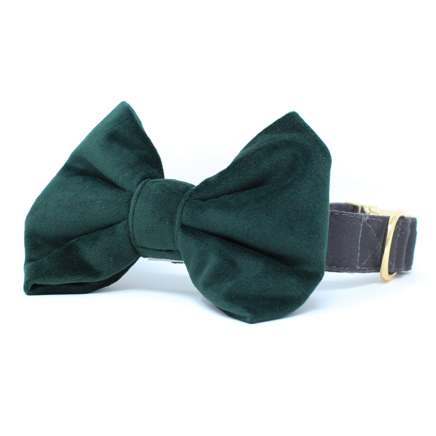 Limited Edition Stone Classic Dog Collar + Velvet Evergreen Bow Tie
