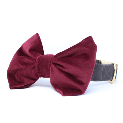 Limited Edition Stone Classic Dog Collar + Velvet Mulberry Bow Tie