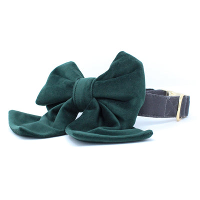 Limited Edition Stone Classic Dog Collar + Velvet Evergreen Sailor Bow