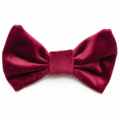 Classic dog bow tie in wine velvet