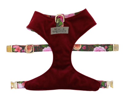 Front view of reversible dog harness with gold hardware in wine velvet